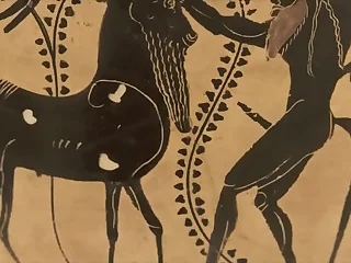 Fruit Taboo&comma; Pussy & Pooch