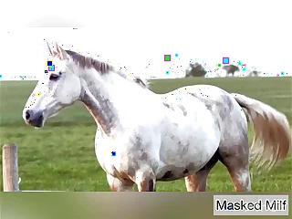 Horny Milf takes giant mounting blarney dildo compilation &vert; Masked Milf