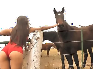 The Hot Little one Horse Whisperer - Amazing Assembly Latina&excl; 10  Ass&excl;